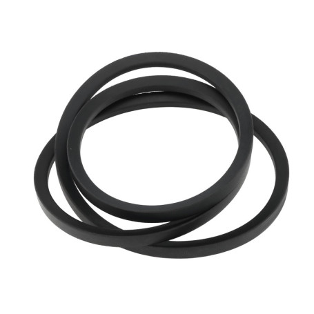 Courroie d'Entraînement eMagTech pour Scarificateur Viking LB540