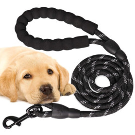 Laisse pour Chien 120 cm en Nylon Noir avec Poignée Rembourrée