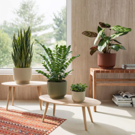 Pot de Fleur Miami 20cm en Plastique Recyclé - Artevasi