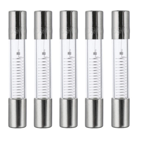 Fusibles de Protection Haute Tension pour Micro-ondes - Lot de 5 Movilideas