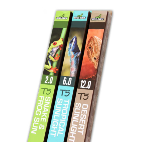 Tube Fluorescent T5 Desert Sunlight 12.0 pour Reptiles - 8W