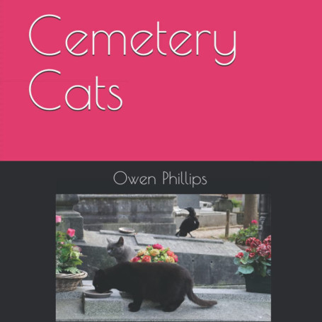 Cemetery Cats : Un Voyage Photographique à Travers les Cimetières