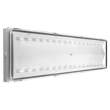Plafonnier LED d'Urgence Multicolore Beghelli BEG8584 - 18W