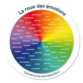 Roue des Émotions Enjoy Art - Outil Pédagogique pour Enfants et Adultes