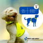 Gilet de Sécurité Réfléchissant pour Chien - Taille S - Jaune
