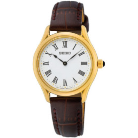 Montre Seiko Analogique SWR072P1 en Acier Multicolore