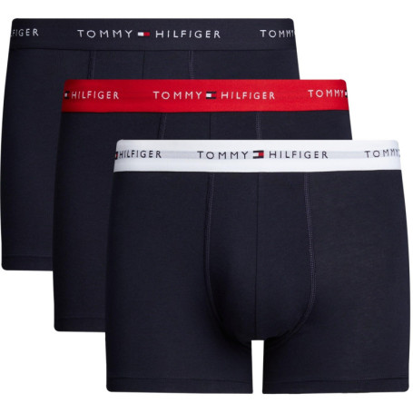 Lot de 3 Slips Tommy Hilfiger pour Homme - Confort et Style