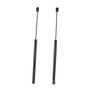 Ressorts à Gaz Frankberg pour Hayon Ford Focus 2000-2004 - Lot de 2