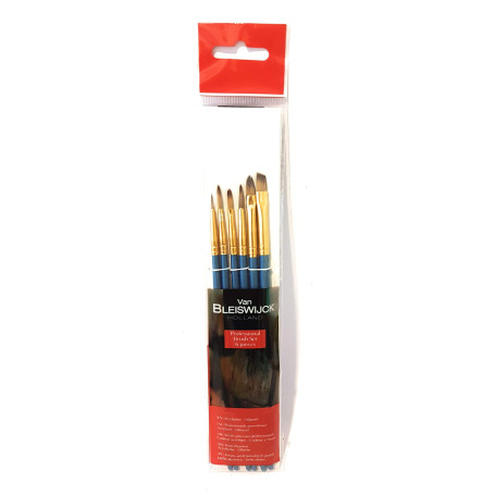 Lot de 6 pinceaux professionnels Van Bleiswijck pour aquarelle et acrylique