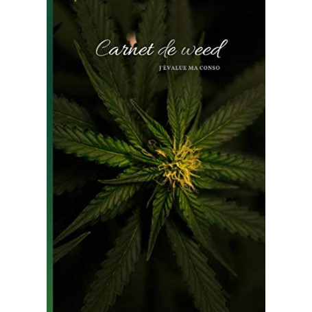 Carnet d'évaluation de consommation de cannabis