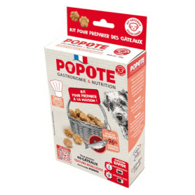 Friandises Saumon Popote pour Chiens - Recette Maison Riche en Protéines
