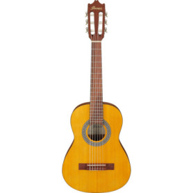 Guitare acoustique Ibanez GA1OAM avec sac de transport