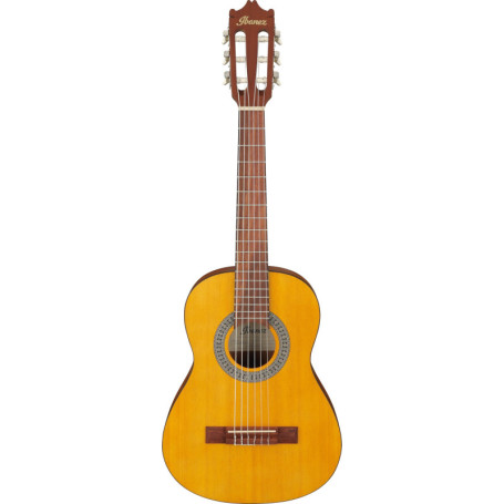 Guitare acoustique Ibanez GA1OAM avec sac de transport