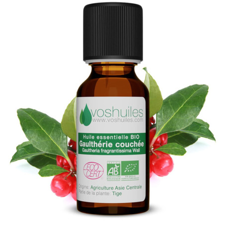 Huile Essentielle Bio de Gaulthérie Couchée - 20ml pour Aromathérapie