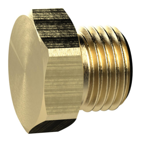 Vis de fermeture hexagonale G 3/4 en laiton - Pression max 25 bars