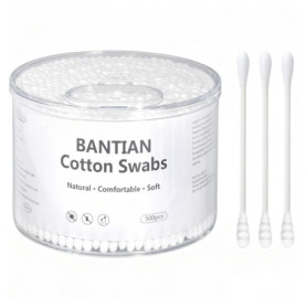 Boîte de 500 Cotons-Tiges en Papier - Double Extrémité et Conception Pratique