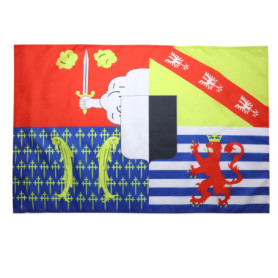 Drapeau de la Moselle 90x60 cm en Polyester avec Fourreau