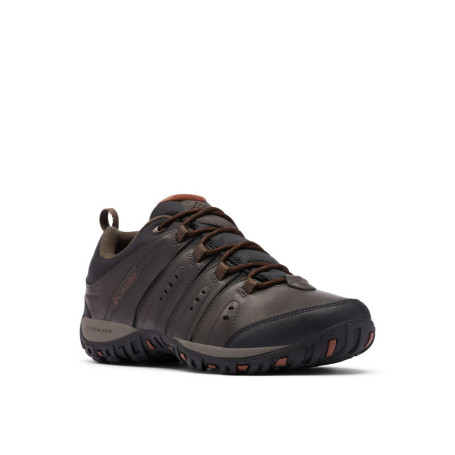 Chaussures de Trekking Imperméables Columbia Woodburn II pour Homme
