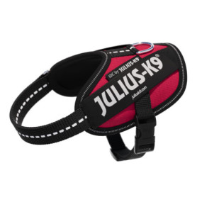 Harnais IDC Power Viva Magenta pour Chiens - Taille 2XS/Baby 2