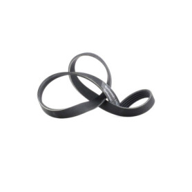 Courroie trapézoïdale à nervures ContiTech 5PK884 pour véhicules