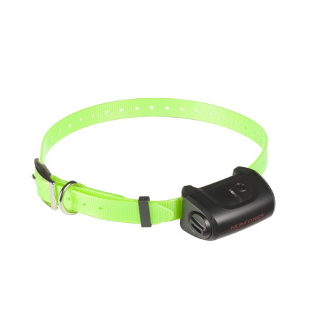 Collier Éducatif CANICOM 5 avec Sangle Verte Fluo