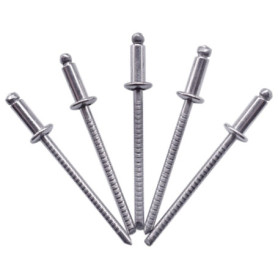 Lot de 100 Rivets Aveugles en Acier Inoxydable 3,2 x 6 mm - Tête Bombée DIN 7337