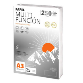 Papier A3 Multifonction 250g - 25 Feuilles pour Imprimante et Projets Créatifs