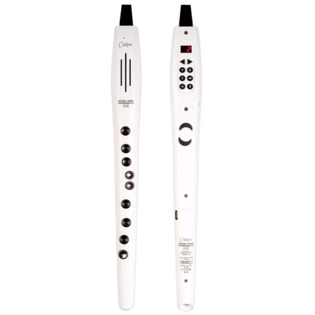 Carry-on Instrument à Vent Numérique 2 Plus - 20 Voix et Enregistreur MIDI Bluetooth