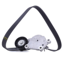 Galets de Distribution SNR pour Peugeot 207 et 308