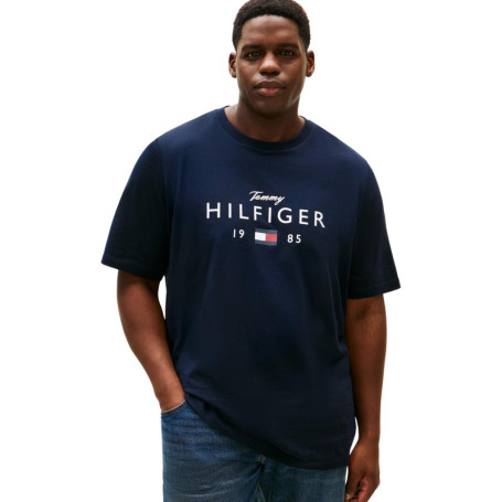 T-shirt Homme Tommy Hilfiger en Coton Bleu Desert Sky