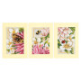 Kit de Broderie Point de Croix Dahlia Rose - Lot de 3 Cartes de Voeux