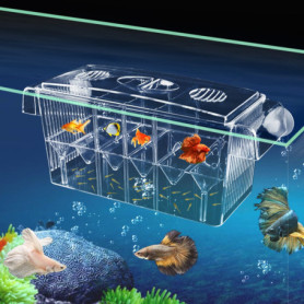 Aquarium Boîte Couveuse Double Couche Transparent pour Petits Poissons et Crevettes