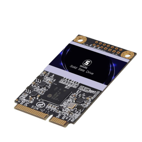 SSD Interne Dogfish Shark MSATA 1 To - Disque Dur Haute Performance