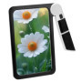 Loupe de Lecture Pliable 5X avec Lumière LED - QWORK