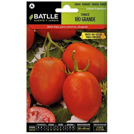 Semences de Tomates Rio Grande - Semillas Batlle