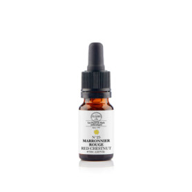 Elixirs & Co - Élixir Marronnier Rouge n°25 BIO - Anti-anxiété Naturel 10mL