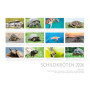 Calendrier mural 2026 Tortues et Animaux Sauvages - Format A3