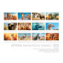 Calendrier Mural Afrique 2026 - Animaux Sauvages en Format A4