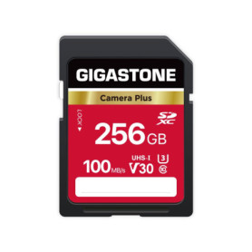 Carte Mémoire SDXC Gigastone 256Go V30 Haute Vitesse pour Appareils Photo