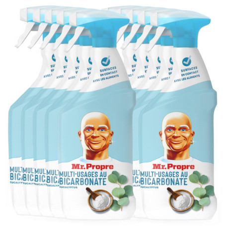 Mr Propre Spray Nettoyant Multi-Usages Eucalyptus - 800ml x10