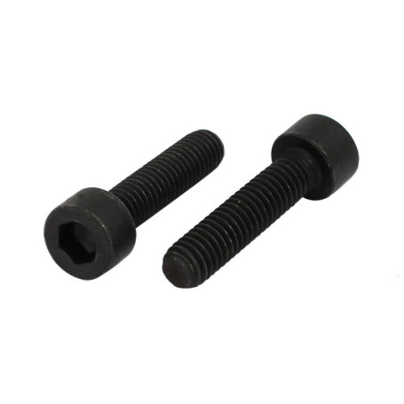Vis à Filetage Gauche M6x25mm en Acier au Carbone - 2pcs
