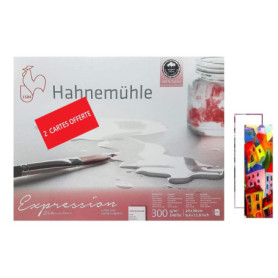 Bloc Aquarelle Hahnemühle Expression - 20 Feuilles 300g 24x30cm 100% Coton