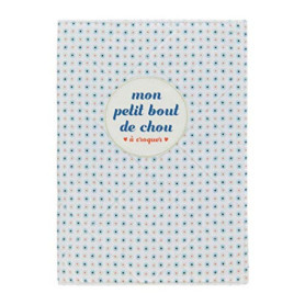 Protège Carnet de Santé Baby Bout de Chou Garçon - DLP