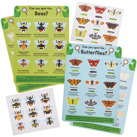 Fiches d'information autocollantes Abeilles et Papillons - Lot de 4