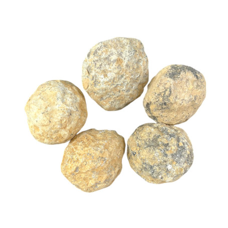 Kit de Géodes Steinfixx - 5 Grandes Géodes à Briser Soi-Même