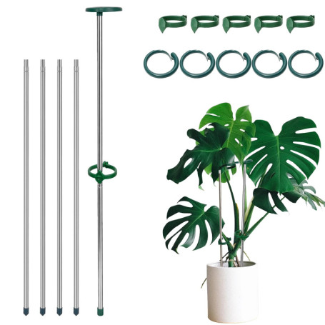 Tuteurs Réglables pour Plantes - Lot de 5, Support Métallique 28-52cm