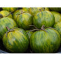 Graines de Tomate Green Zebra Non OGM - 25 Graines