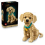 LEGO Icons Chiot Golden Retriever - Maquette 3D à Construire pour Adultes