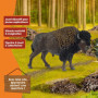 Figurine Bison Schleich Wild Life - Jouet Éducatif et Décoratif pour Enfants
