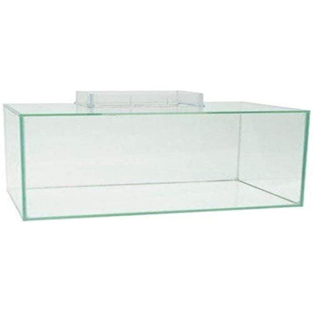 Éclairage LED Fluval Roma 125 pour Aquariums avec Contrôle Bluetooth